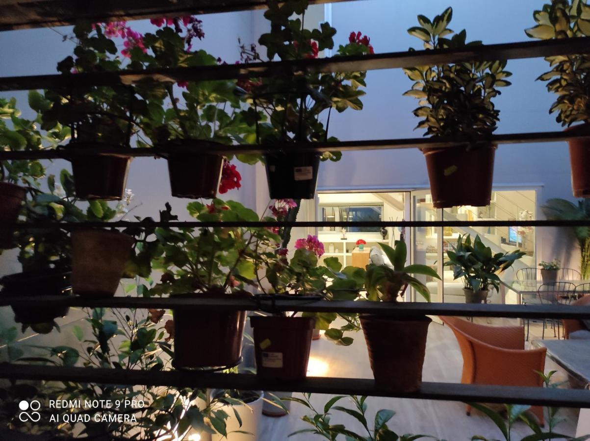 Habitacion Y Bano En Planta Independiente En Centro De Sevilla Exterior foto